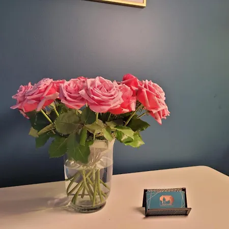 Beloved Apartments- Aleja Jana Pawla Ii Apartman *